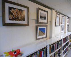 Muestra de Fotos en la Biblioteca