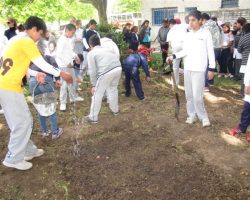 Realizamos huerta orgánica en La Salle