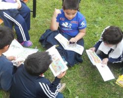 Niños de la escuela Stephenson fueron a la Biblioteca